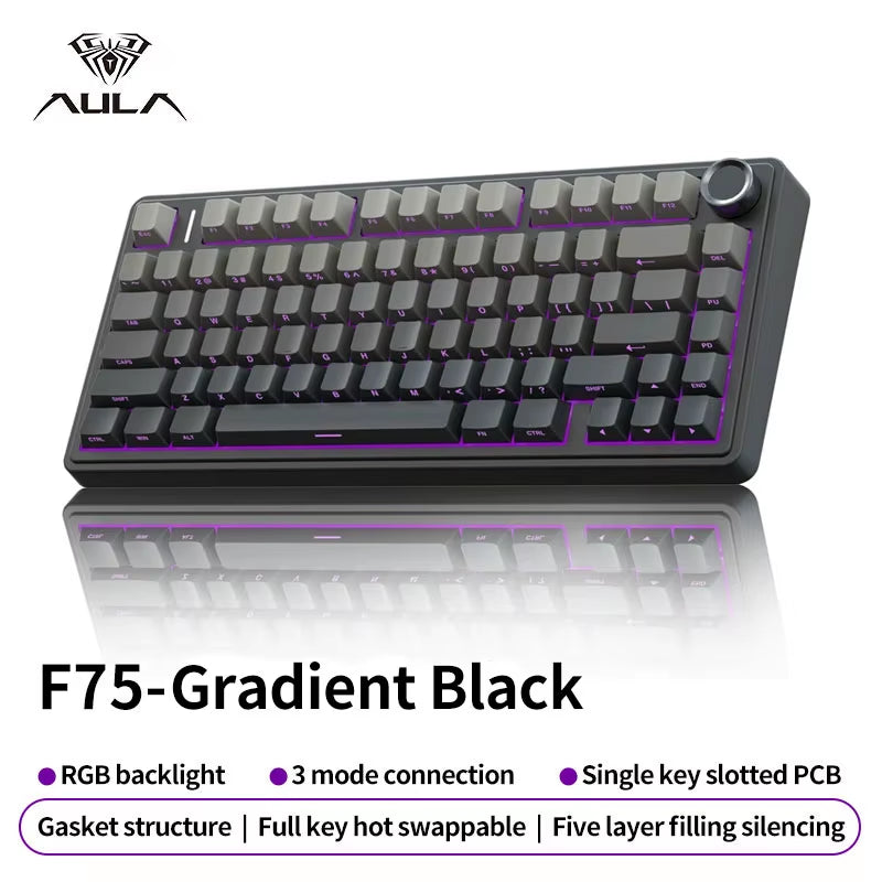 F75 Gaming Mechanical Keyboard RGB Customized 75% Layout Side-Engraving Gasket Mounted 80Keys PBT Gradient Keycaps Keyboard